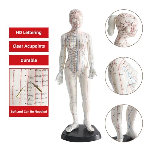 Muñeca de acupuntura femenina de 48 cm con meridiano y 361 puntos de presión, modelo de entrenamiento de PVC transparente grabado para terapia de masaje