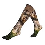 schnauzer tramonto cani animali domestici montagne schnauzer, calze a compressione sportive calze sportive per adulti,1 nero