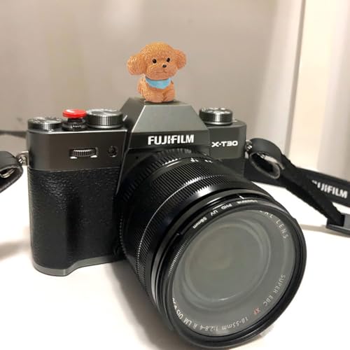 Image of Camera Hot Shoe Cover, Cute Cap and Protector Compatible With Sony Fujifilm Fuji Canon Nikon Pentax Leical Panasonic (2pcs Golden Retriever + Tactic)