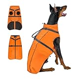 OneTigris Hundejacke, Wasserdichter Winterweste Jacken Hundemantel Mit Bediengriff, Bequeme Ausscheidung, Reißverschluss und Elastisches Design, Einfaches An-und Ausziehen, Reflektierend,M,Orange