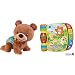 Vtech Baby 80-181104 - Motorikspielzeug - Krabbel mit Mir - Bär & Baby 80-166704 Babyspielzeug - Mein erstes Liederbuch,Voilet