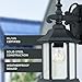 DESIGNERS FOUNTAIN Devonshire Outdoor Light Fixture, 14 Inch Exterior Wall Lantern Sconce for Front Door, Patio and Porch, Black, 2961-BK