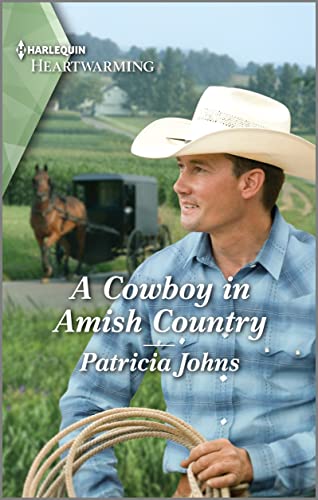 A Cowboy in Amish Country: A Clean Romance – A Wholesome Secret Pregnancy Amish Fiction Story (Amish Country Haven Book 2)