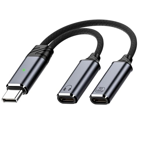 ^Cvc CzϊA_v^ Type C to Type C ^Cvc ҃P[u  2in1ϊCzWbN PD 100W}[dȂCz ʘb ʒ 16bit/48KHz Hi-Fi DAC iC҂ iP