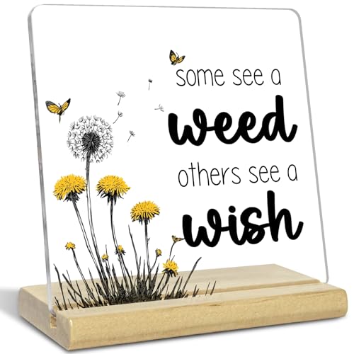 Yoga Meditation Room Decor,Funny Dandelion Desk Decor,Some