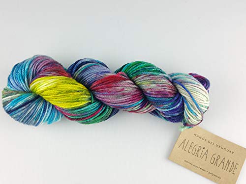 Manos Del Uruguay Alegria Grande Ag9010 Manglar, 100 Gram, Hand Dyed Knitting Yarn #TOP3