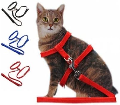 Cat Harness (Lead/Leash/Collar) - Blue