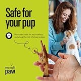 Your Right Paw Hühnerfüße für Hunde – 100 % natürliche Kauartikel – getreidefrei, proteinreich, aus Europa – 1 kg