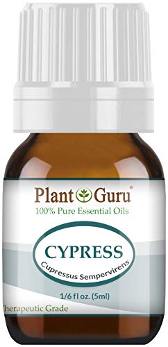 Cypress Essential Oil 5 ml. 100% Pure Undiluted Therapeutic Grade