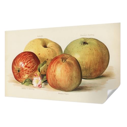 Papier Peint Fleurs de Pommier Pose Murale Sans Colle 416x254