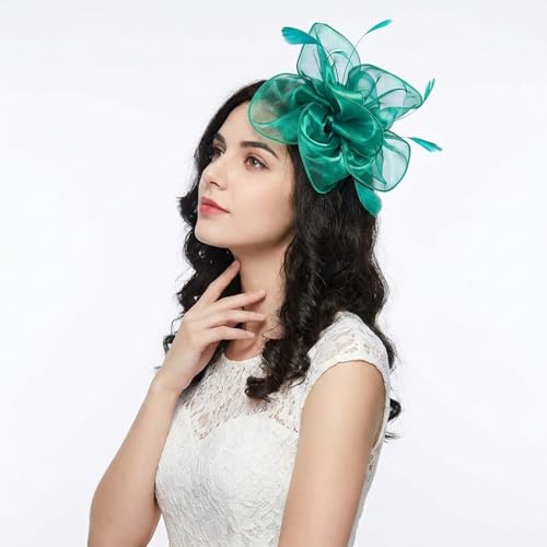 Image of DRESHOW Fascinators Hat Tea Party Headwear Ribbons Feathers on a Headband and a Clip for Women