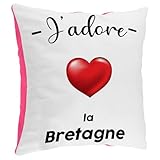 Dimensions : Taille standard 40 x 40 cm, parfaite pour vos coussins décoratifs