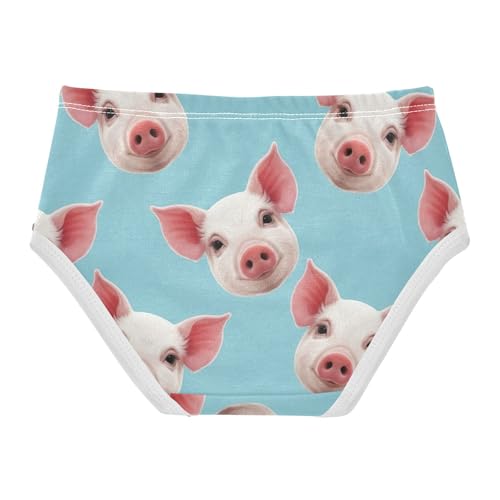 Cute Pig Pinkblue Underwear Toddler Girl, Kids Underwear Girls, 2T–8 Years2