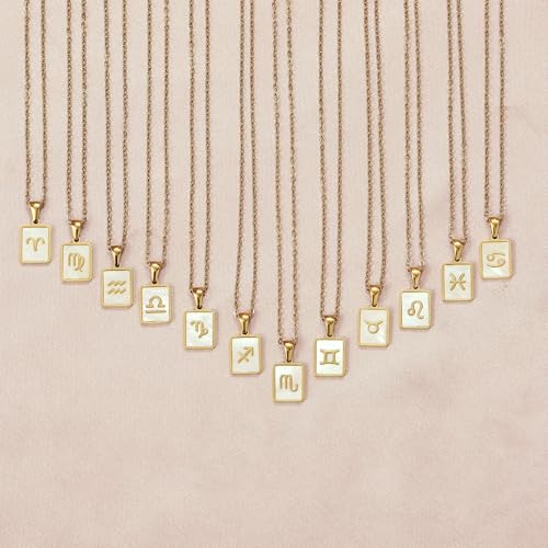 Image of SALTY Anti Tarnish Pendant Necklace for Women | Stylish Locket Neck Chain | Fashion Jewellery Accessories for Girls Boys | Minimal Jewelry | Ideal for Gifting - Scorpio | Gift for Diwali, Christmas, Marriage, Birthday