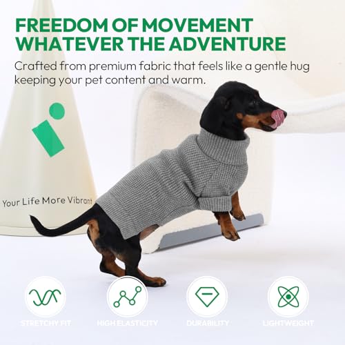 Pull pour chien chaud à offrir pour l'hiver motif chic