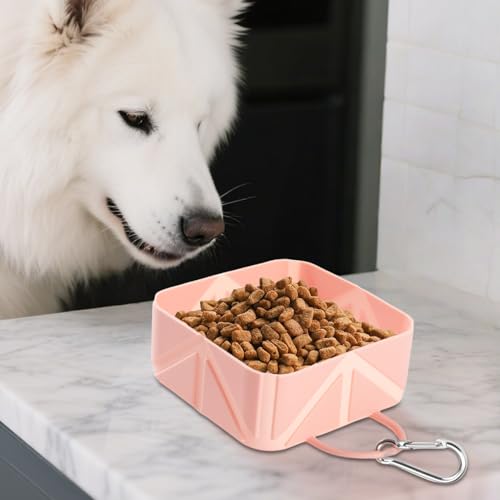 Hundeschale - Collabsible Haustiernahrung Container | 500 ml FALTING Puppy Waterer | Hundewasserversorgungsanleitungspender für Kätzchen Car RV Travel Wanderwanderung Strandboot Outdoor Aktiv