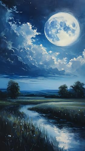 Diamond painting adulte pleine lune pour illuminer votre décoration murale