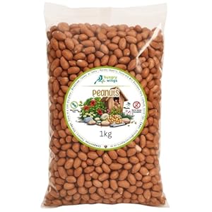Wild Bird Food (1kg, Peanuts)