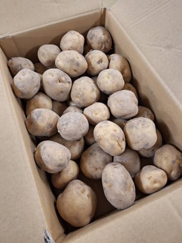 y_zkĈႪij݁j5kgy①z