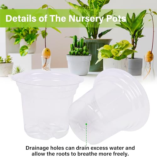 Snapklik.com : Winemana 60 Packs 3 Inch Clear Nursery Pots For Plants ...