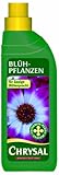 Chrysal