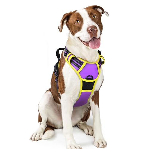Image of rabbitgoo Dog Harness No Pull with 2 Leash Clips, Adjustable Soft Padded, Reflective Oxford No Choke Pet Vest with Easy Control Handle for Large Dogs, Purple & Yellow, L