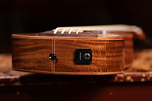 Ortega Guitars Basse de Voyage électro-acoustique – Série Lizard – Ukulélé Basse – housse incluse – Acacia, Acajou… - Les Beatles, Paul McCartney, John Lennon, RIngo Starr, George Harrison Ortega Guitars Basse de Voyage électro-acoustique - Série Lizard - Ukulélé Basse - housse incluse - Acacia, Acajou… – Image 7