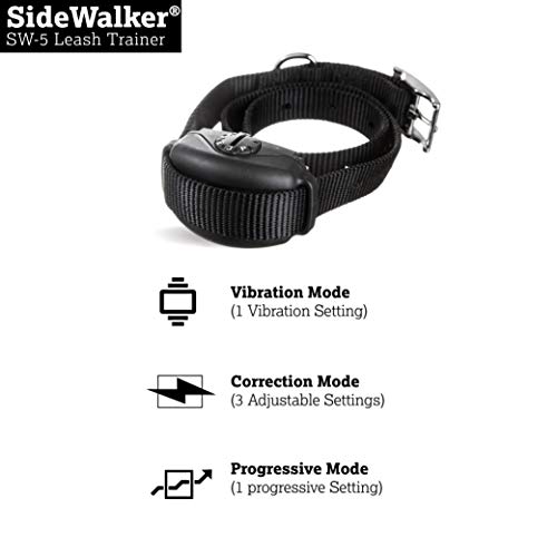 Dog trainer using collar during walk