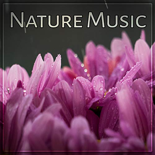 Play Nature Music Fabulous Nature Sounds of Birds and Ocean Waves