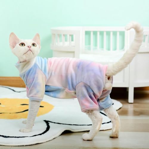 Body pour chaton sans poils contre le froid et les frissons