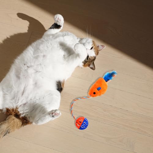 Jouet intérieur pour chaton Hemobllo idéal en appartement