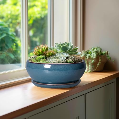 SQOWL Bonsai-Töpfe, 25,4 cm, große Keramik-Sukkulententöpfe, Flacher Übertopf mit Ablaufloch und Untersetzer… – Ansicht 4