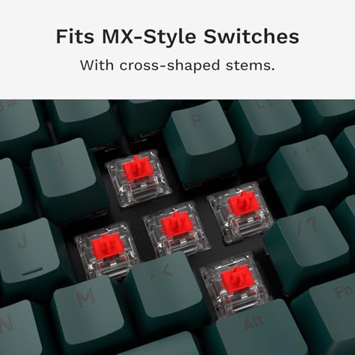 Image of GLORIOUS Gaming - GPBT Basics (PBT Keycaps), Totem Green, No Fade Dye-Sublimated, for Custom Mechanical Keyboards, Fits 100%, 75% 65% 60%, Fits ANSI & ISO, Supports Windows & macOS - English (US)