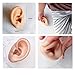 CHUANCI Soft Silicone Ear Model for Hearing aid 1:1 Human Ear Ear Model Simulation Display Props Teaching Tools Jewelry Display Earrings (On Pair White Color)