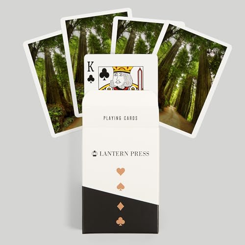 Baraja de Poker Redwood Forest Road Fotografía miniatura 6