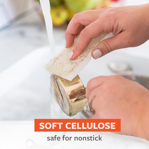 Image of Full Circle Coconut Scrubber Sponges, Pack of 2 - Dual-Sided, Plant-Based Sponges Made with Coconut Shells, Cellulose & Recycled Materials, Safe for Nonstick Cookware