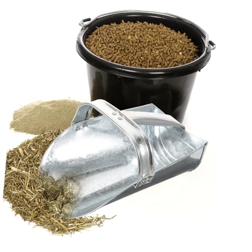 Pelle à aliments en acier inoxydable argentée durable pour grands élevages