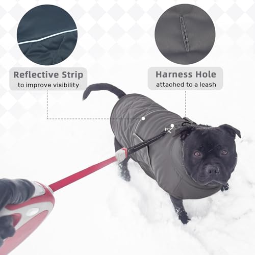 Hjumarayan Hundemantel Französische Bulldogge, Wattierend Jacke Warme Mantel Hund Geschirröffnung, Wintermantel Gefüttert für Französische Bulldogge, Mops, Westie (Grau M)