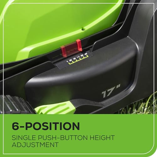 image for Greenworks 40V 17