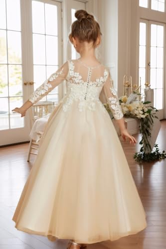 Lace Applique Flower Girl Dress for Wedding Puffy Tulle First Communion Dress for Girls 2025 Toddlers Pageant Party Gowns2