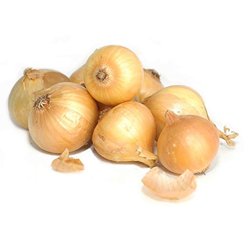 Kejora Yellow Onion - 10 Lbs ( Non GMO & GLUTEN FREE )