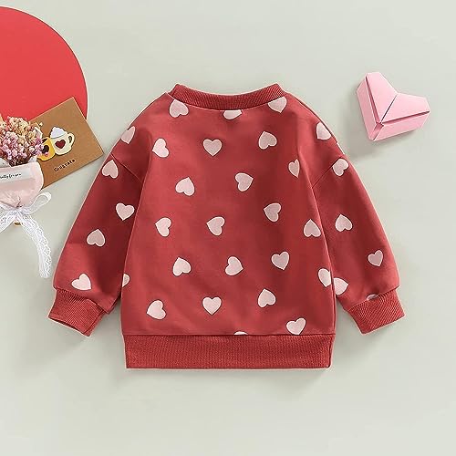 Image of Baby Boy Girl Pumpkin Sweatshirt Tops Toddler Halloween Outfit Long Sleeve Crewneck Pullover Sweater Shirt Fall Clothes