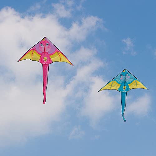 2 Pack Dragon Kite, Extremely Easy To Fly Kites, Kites For Kids Ages 4-8 8-12 Kites For Adults, Kites For Toddlers Age 3-5, Kites 2 Pack, Beach Kite, Beginner Kite, Kites For Girls, Boys #TOP1