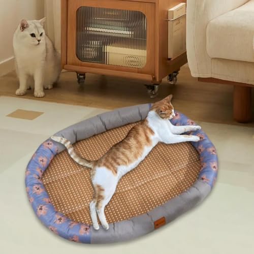 Lit de couchage confortable pour chiots et petits chats d'intérieur