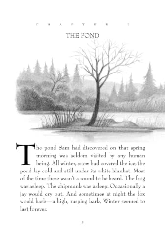 Image of The Trumpet of the Swan 50th Anniversary: The Classic Story of a Voiceless Swan and His Musical Journey for Children (Ages 8-12)