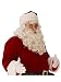Rubie's Unisex-Adult's Premium Santa Beard and Wig Set, White, One Size