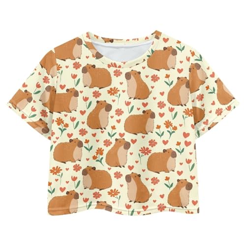 Image of Girls Crop Tees Crew Neck Casual Short Sleeve T Shirts Kids Loose Soft Comfortable Tees Blouses Shirt for Little Girl