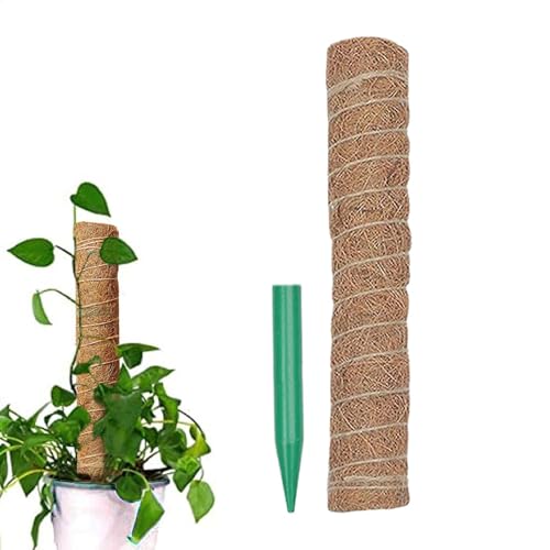 Bâtons en mousse pour grimpantes | Supports amovibles en mousse de coco Monstera, bâtons de jardin pour monstera, pothos, philodendron