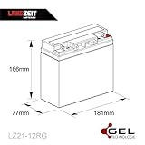 Zoom IMG-1 langzeit batteria per trattorino rasaerba Zoom IMG-1 langzeit batteria per trattorino rasaerba