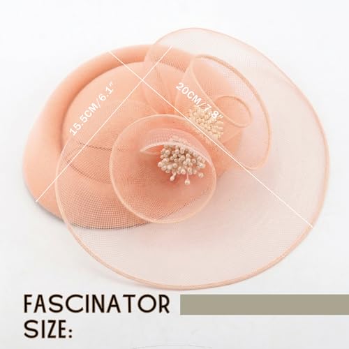 Image of DRESHOW Fascinators Hat Feather Headband Women's Fascinators Tea Party Headwear with Clip Flower Head Band for Girls & Women